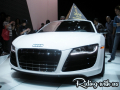 pic 020_audi R8.jpg